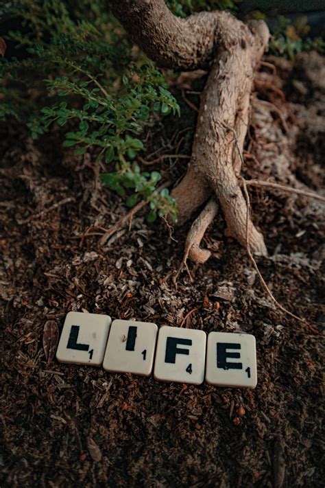 Scrabble Tiles Spelling The Word Life · Free Stock Photo