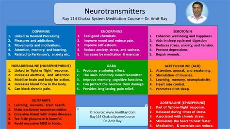 List Of Important Neurotransmitters And Their Functions Sri Amit Ray