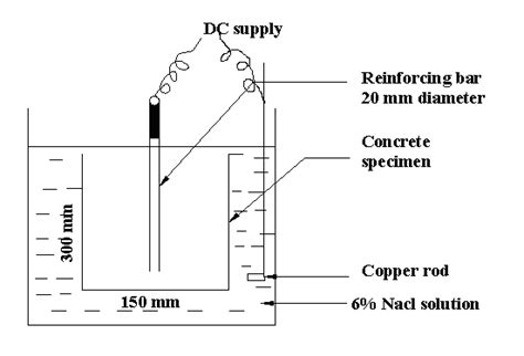 Accelerated Corrosion Test Setup Download Scientific Diagram