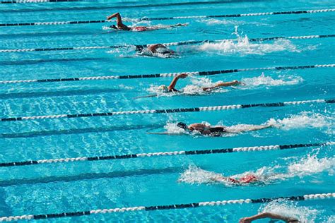 Freestyle Swimming Stock Photos Pictures And Royalty Free Images Istock