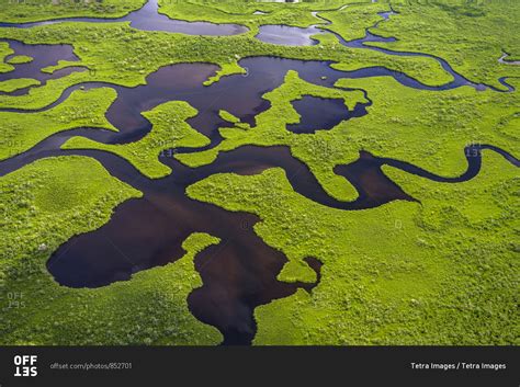 Aerial View Of Everglades National Park In Florida Usa Stock Photo