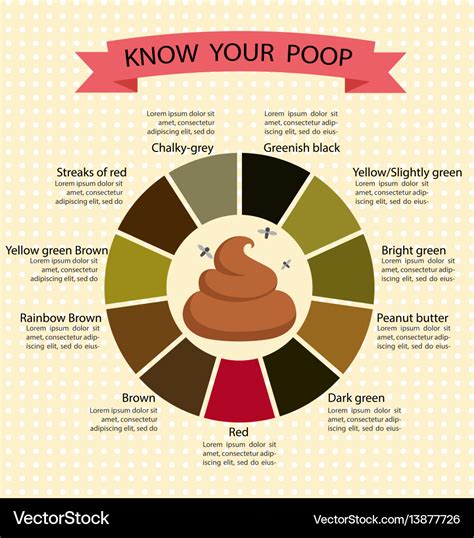 Stool Quality Chart For Dog Poop Know Your Health By Your Poops