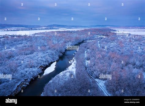 Flight Through Majestic River Frozen Forest And Frosty Winter Fields