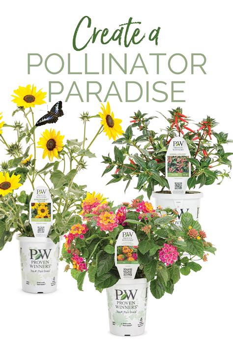 Create a Pollinator Paradise Signage | Proven Winners