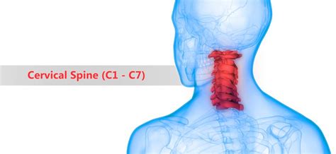 Common Symptoms Of Cervical Degeneration Atlanta Brain And Spine Care