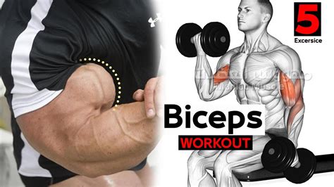 How To Build Your Biceps Fast 5 Effective Exercises تمارين البايسبس