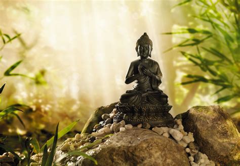 We present you our collection of desktop wallpaper theme: Buddha Quotes Online: Little Buddha HD Wallpaper