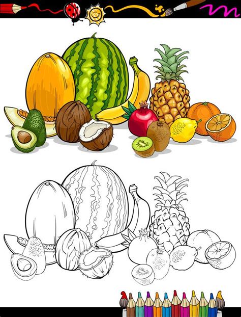 See more ideas about coloring pages, fruit coloring pages, coloring pages for kids. Tropical Fruits Group For Coloring Book | Frutas para ...