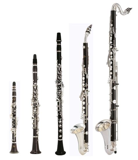 Learn more about clarinets in this article. Clarinet family - Wikipedia