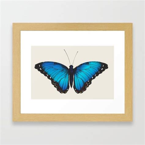 Buy Blue Butterfly Framed Art Print By Newburydesigns Worldwide