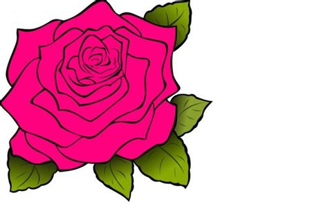13 Gambar Bunga Mawar Animasi Terbaik Informasi Seputar Tanaman Hias