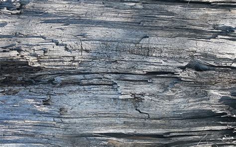 Download Wallpapers 4k Gray Wooden Texture Close Up Wood Backgrounds