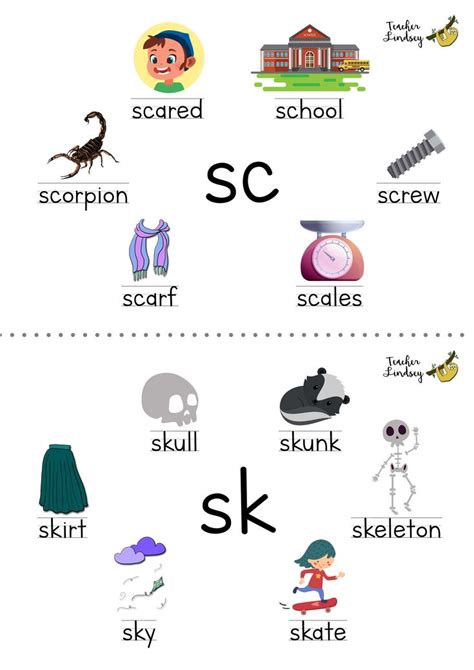 Consonant Cluster Sc And Sk Poster By Teacher Lindsey Phonics Lessons