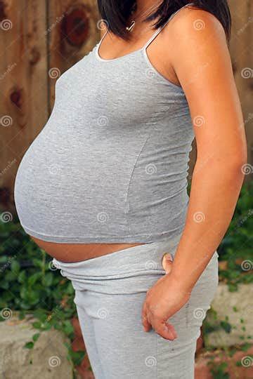 Vientre Embarazada De Nueve Meses En Gris Imagen De Archivo Imagen De
