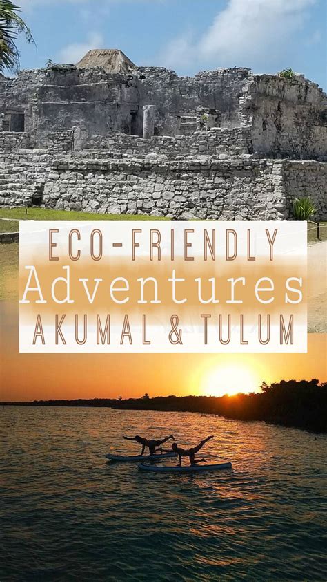 The Best Eco Friendly Adventures In Akumal And Tulum Eco Friendly