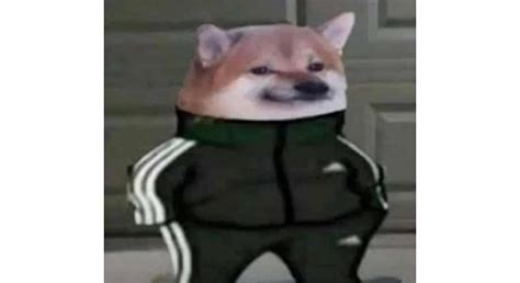 Whenever a new submit appears, faucet the three dots in the very best appropriate corner to bring up an additional menu then select 3d photo to open the apple iphone. Cheems/Doge In Adidas Tracksuit Memes - StayHipp