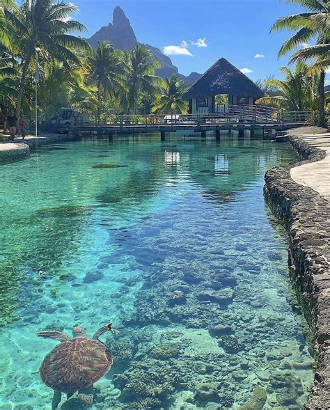 Bora Bora “the World Only Exists In Your Eyes You Can Make It As