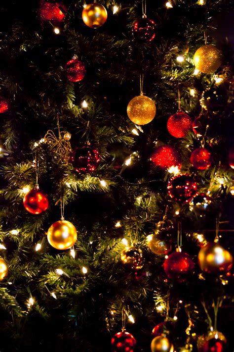 Christmas Tree Wallpaper Free Stock Photo Public Domain Pictures