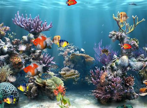 50 Free 3d Aquarium Wallpapers Wallpapersafari