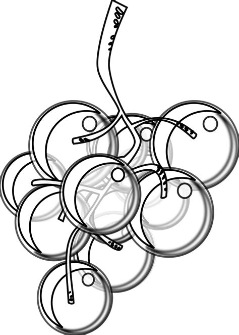 White wine red wine champagne, bottle of white wine , green bottle illustration png clipart. Grape Clipart Black And White | Free download on ClipArtMag