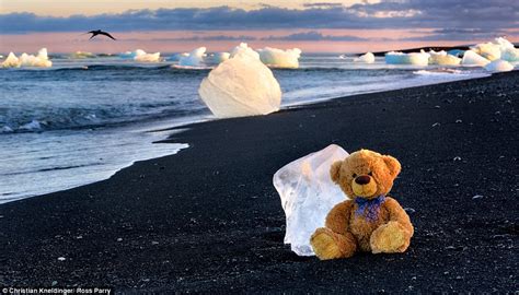 photographer christian kneidinger replaces his camera shy wife with a teddy bear daily mail