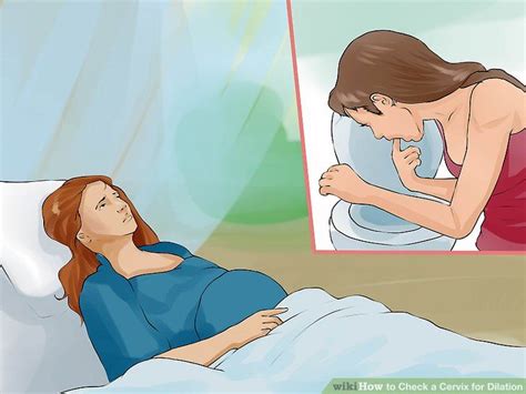 How To Check A Cervix For Dilation 15 Steps With Pictures Artofit