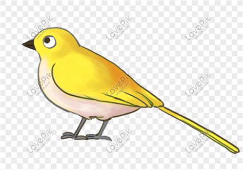 Kartun yang diciptakan oleh stephen hillenburg ini pertama kali tayang pada tahun 1999 di amerika serikat. burung kartun kuning animasi gambar unduh gratis_imej ...