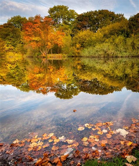 Autumn Reflection Stock Photo Image Of Mirror Autumn 96114350