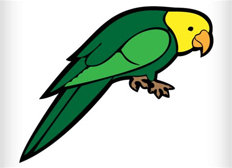 Parrots Easy To Draw Clip Art Library