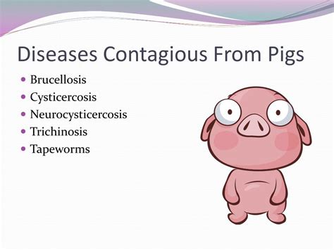 Ppt Diseases Of Pigs Powerpoint Presentation Free Download Id3826570