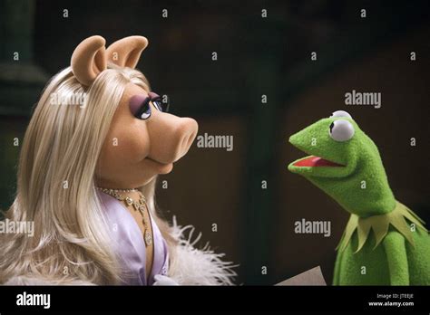 Kermit The Frog Muppets High Resolution Stock Photography And Images