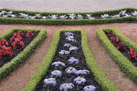 How To Choose Edging Plants For Your Landscape