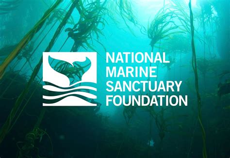 National Marine Sanctuary Foundation On Behance