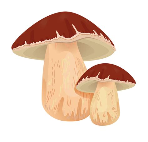 Mushroom clipart painted, Mushroom painted Transparent FREE for download on WebStockReview 2021