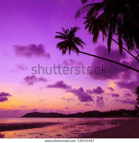 Tropical Beach Palm Trees Sunset Thailand Stock Photo 130531427