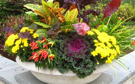 15 Wonderful Fall Container Garden Ideas That Will Amaze You