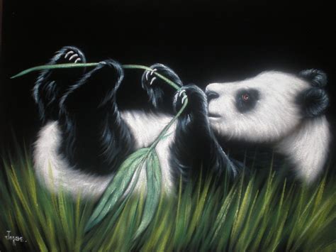 Panda Bear Black Velvet Oil Painting Handpainted Signed Art