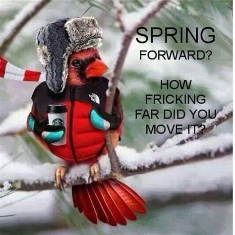 Where Is Spring Winter Humor Spring Quotes Spring Forward