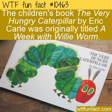 Wtf Facts Funny Interesting And Weird Facts Wtf Fun Fact A Week With
