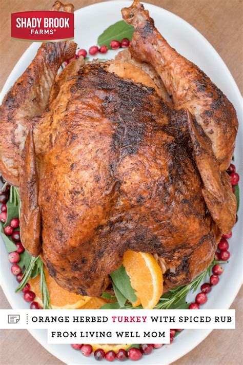 Orange Herbed Turkey With Spiced Rub — Shady Brook Farms Citrus