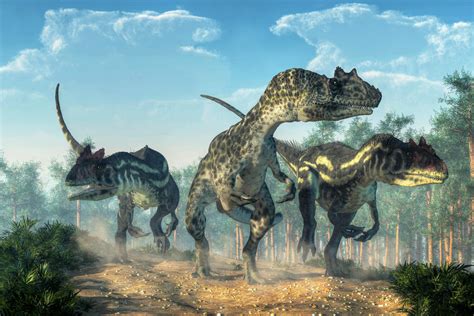 The Dinosaurs Biology Online Tutorial
