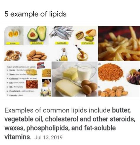 Give 5 Example Carbohaghdrated And Lipids Brainlyph