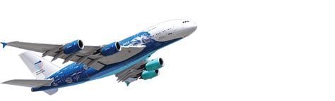 Download Aviao E Info Airbus A380 Png Image With No Background