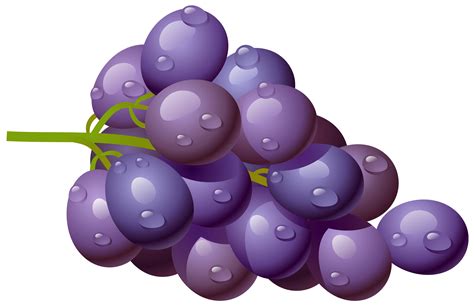 A Bunch Of Purple Grapes With Water Droplets On The Leaves And Stems