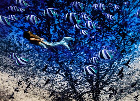Free Images Tree Water Sky Flower Underwater Blue Fish Fin