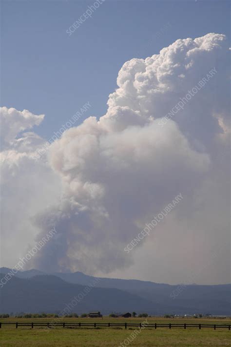 Pyrocumulus Cloud Formed By Water Vapor Stock Image C0060673