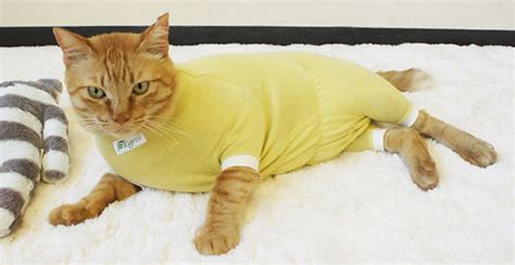 The cat can still see the onesie is soft against his skin and covers most wounds and surgery stitches Japan Trend Shop | Egree Cat Pajama Suit