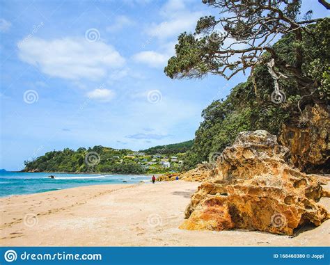 Hot Water Beach On The Coromandel Peninsula North Island New Zealand
