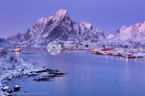 Reine On The Lofoten Islands In Northern Norway In Winter Sara Winter