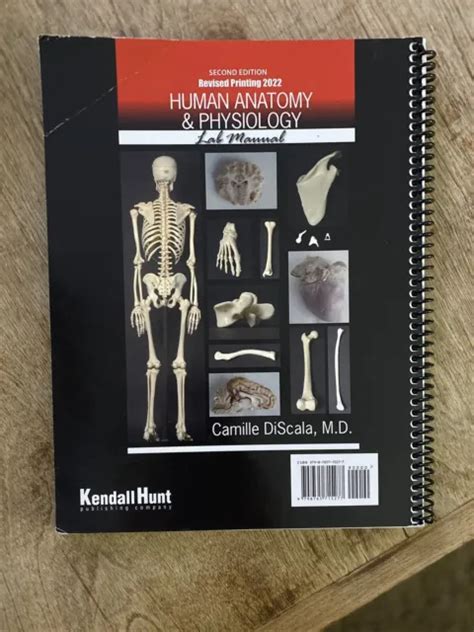 Human Anatomy And Physiology 2nd Edition 2022 9800 Picclick